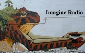imagine Frog