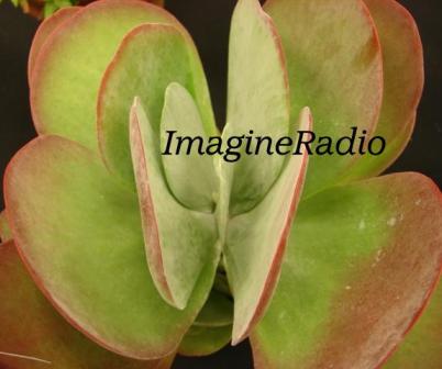 Is Tech Leaving The Helping Professions Behind?