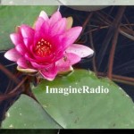 imagine radio -itunes 5A