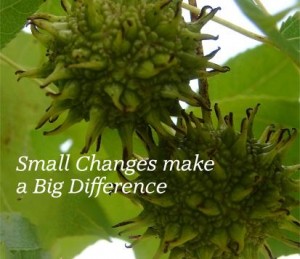 small changes Logo