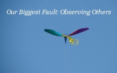 Our Biggest Fault: Observing Others