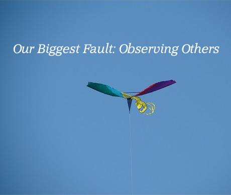 Our Biggest Fault: Observing Others