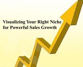 Visualizing the Right Niche for Powerful Sales Growth