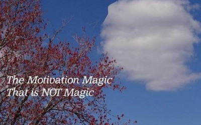 The Motivation Magic That is NOT Magic