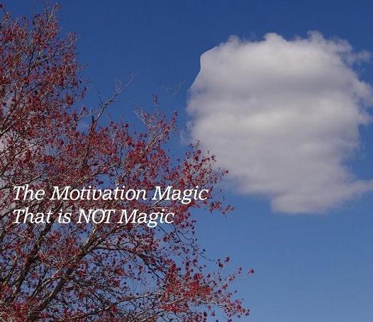 The Motivation Magic That is NOT Magic